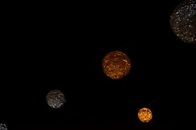 DSC_6079 (Large).JPG